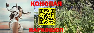 эйфоретик Будённовск