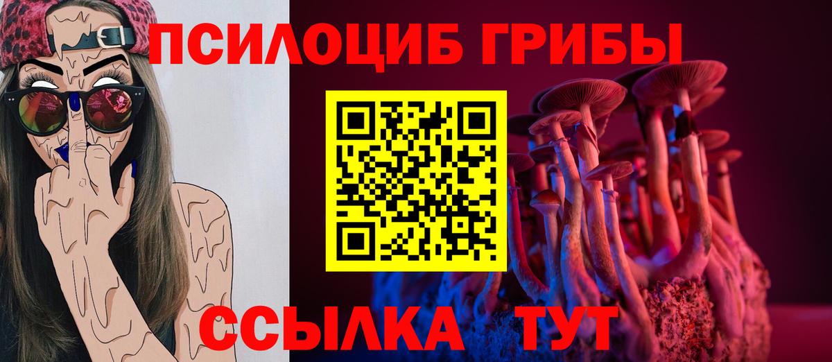 Псилоцибиновые грибы GOLDEN TEACHER Соль-Илецк